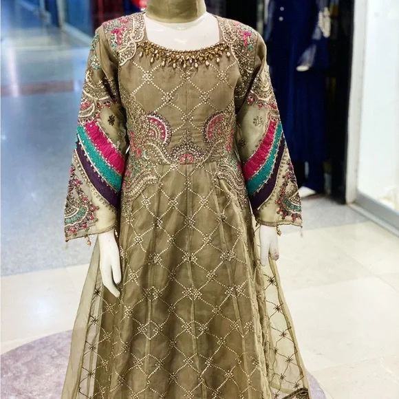 Multi Colours Embroidered Organza Long Dress for Teen Age Girls | Color: Pink/Purple | Size: 14g | Iqrawaqar's Closet